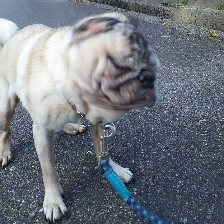 0d8d4658 29f5 472d 8f40 bf0d6fdad8a5 1580415916470