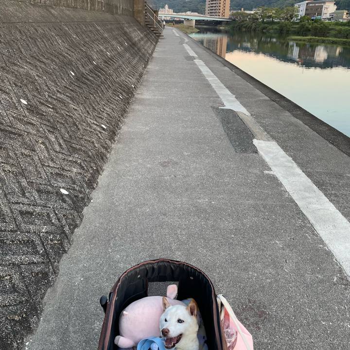 0d8d5a4b ee4a 41f2 87d8 deb87b158cbc 1664710980279