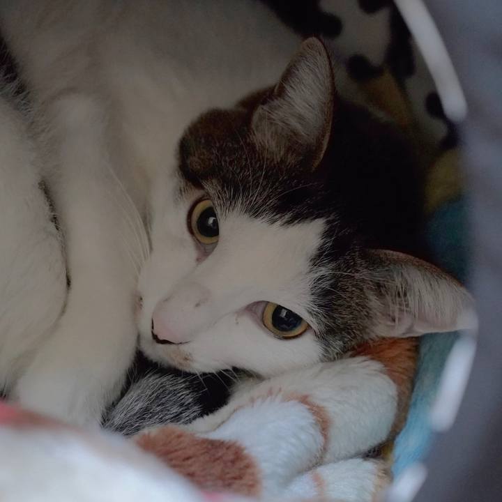 0d8d76c9 a7c3 4ff4 bcef 8b893810e05e 1580804547941