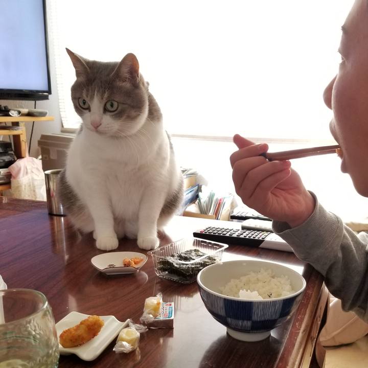 0d8d8291 58fe 4fc8 b77a cc5aed17d003 1619101550033