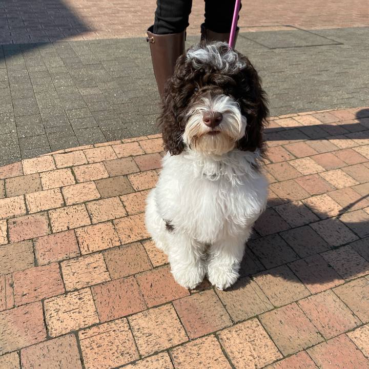 0d8d84b2 1e47 4356 9813 02068826ba53 1612794128512