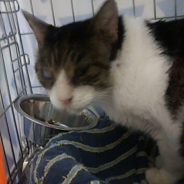 0d8da88a 6ab2 4062 9191 7b7ed3dfb878 1537613062587