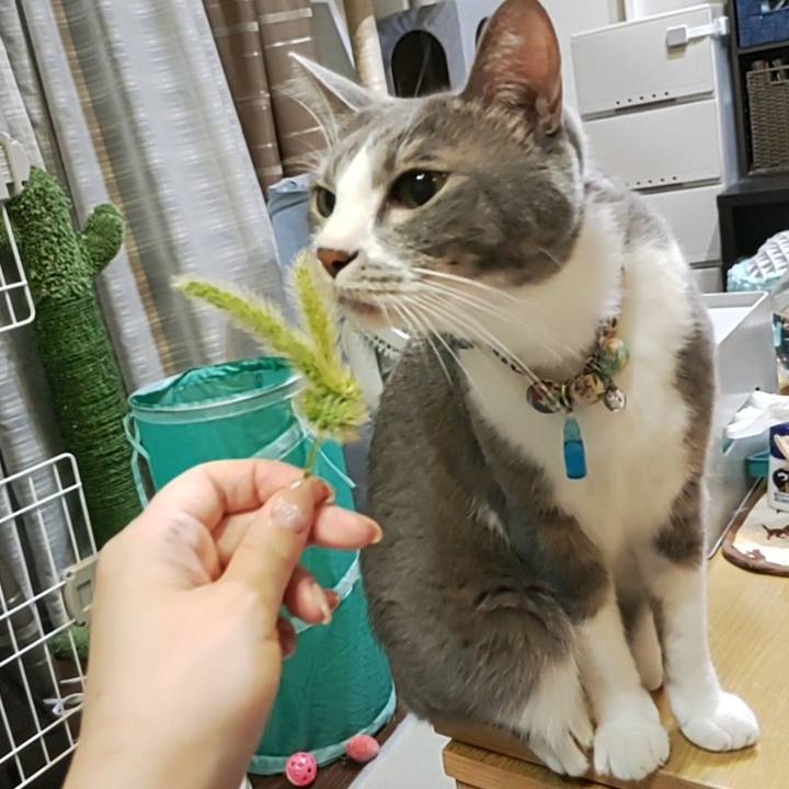 0d8dae0b 7c29 45d2 958f 6cf72553a769 1697206696708