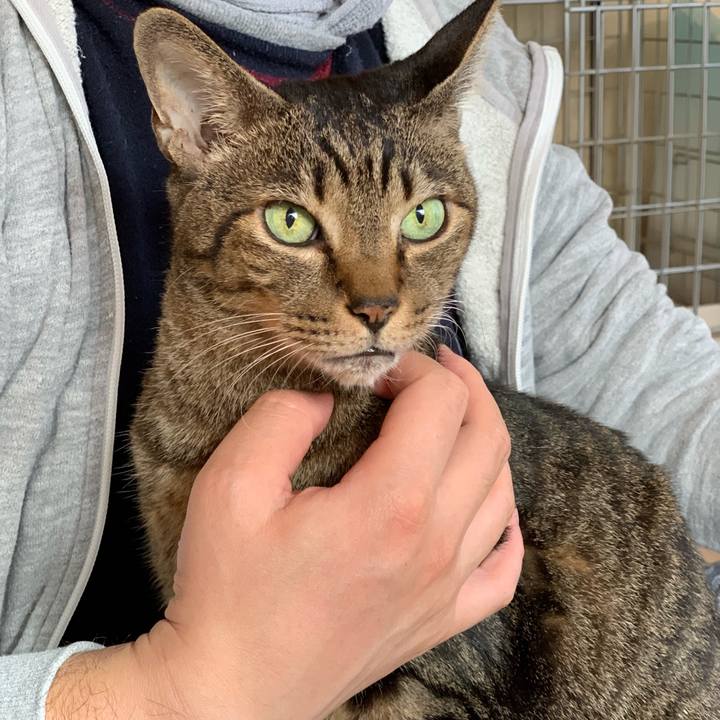 0d8de42b 631e 4b15 b942 b228e0a66479 1541900050421