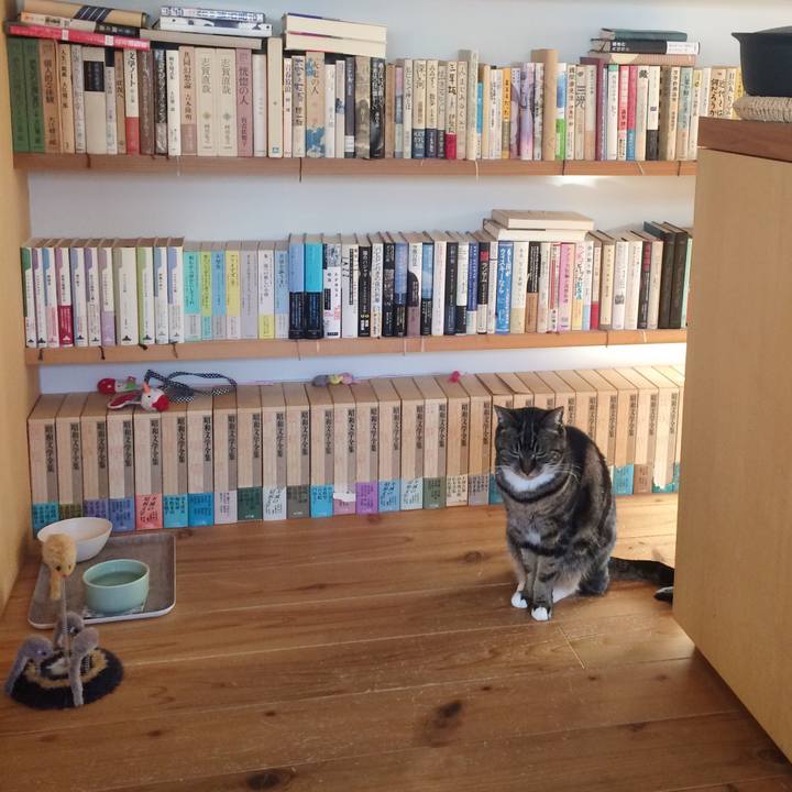 0d8df735 df66 4642 a623 0df7ecb4deb9 1518567279476