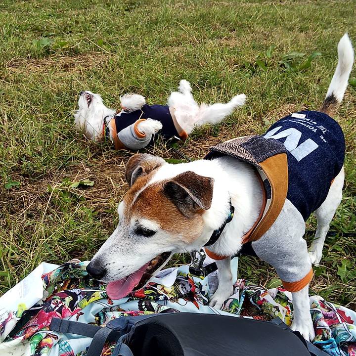 0d8e0818 10c3 4fe6 a499 b6f601004694 1540617265220