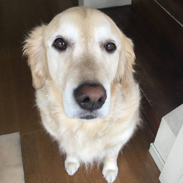 0d8e0a0a 555f 47a4 8e7c 4151073576c2 1525734724235