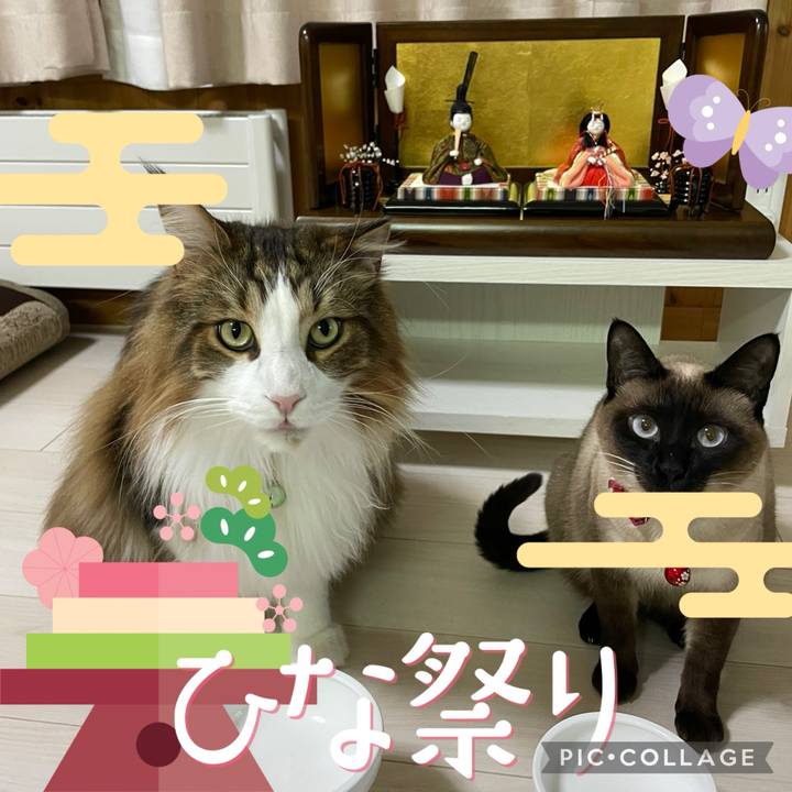 0d8e1e7f 0c59 4098 9e68 e4c23c782ccc 1740994704903