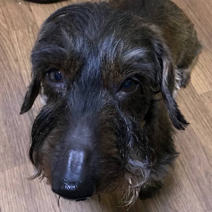 0d8e4872 5408 46b6 8222 527ec30b74c5 1517579267338