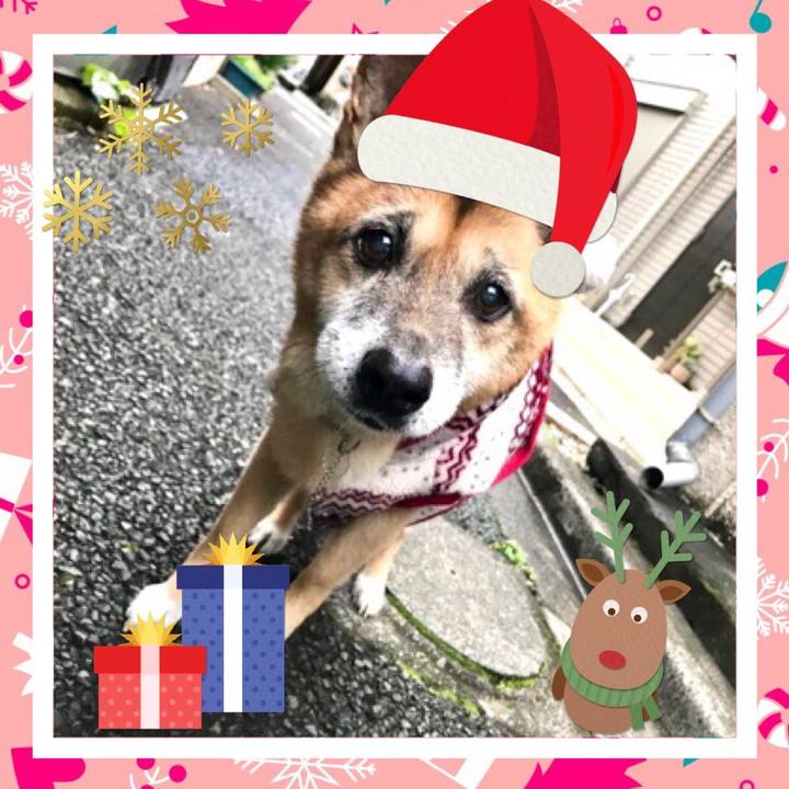 0d8e48b3 6a82 4112 9702 21458d5ff518 1545656581834