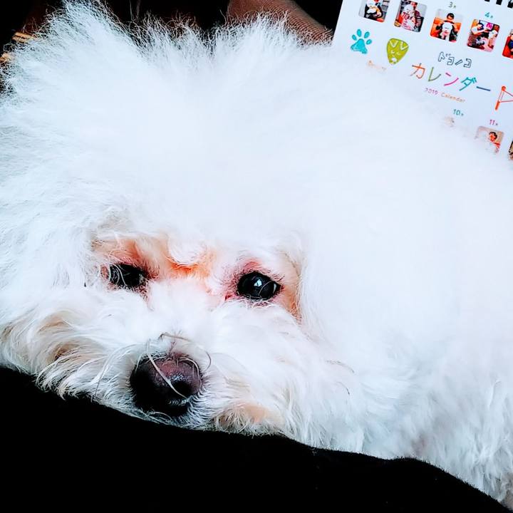 0d8e6e2e 3895 4bc6 b779 80a0c9e18847 1546142170947