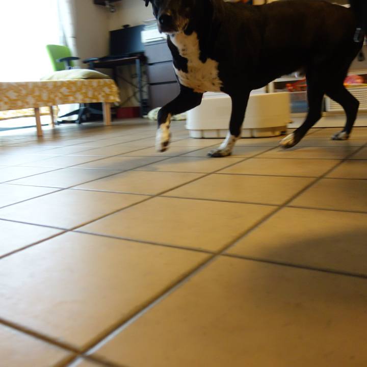 0d8e8309 bb85 47b7 9c2d f8f5005f0547 1685580512515