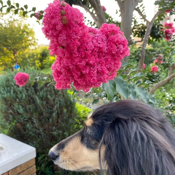 0d8e8b01 df7f 422a 8b33 1ba53591509c 1753655470142