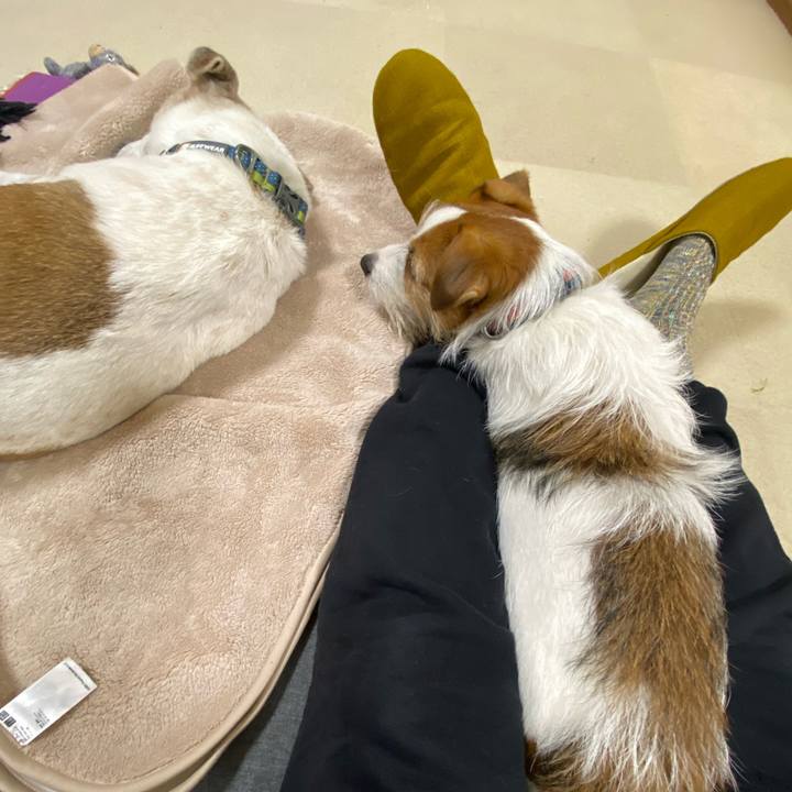 0d8e9b61 eff7 4dd0 8146 506fb21d5509 1680526910223