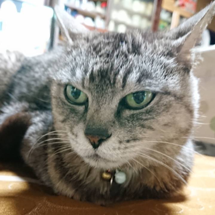 0d8ea8c9 cb0b 46f9 8e25 7e06ef45497b 1562760061356