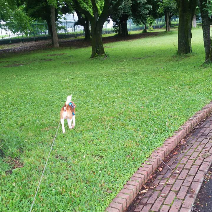 0d8eb4f2 e96a 4693 abfc 46be23ae87b6 1654924328939