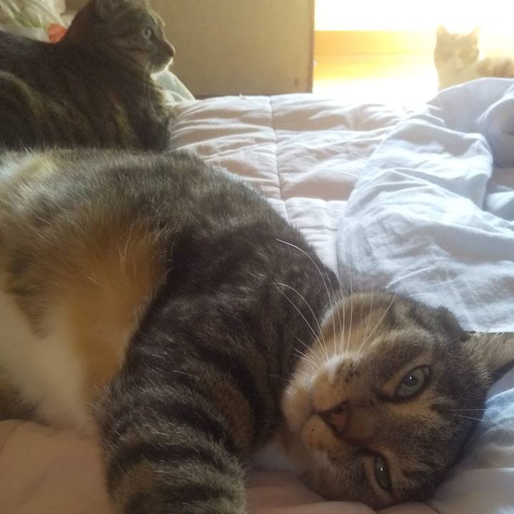 0d8f3ab6 209f 4a39 9a9b 723438dff3a6 1751150353046