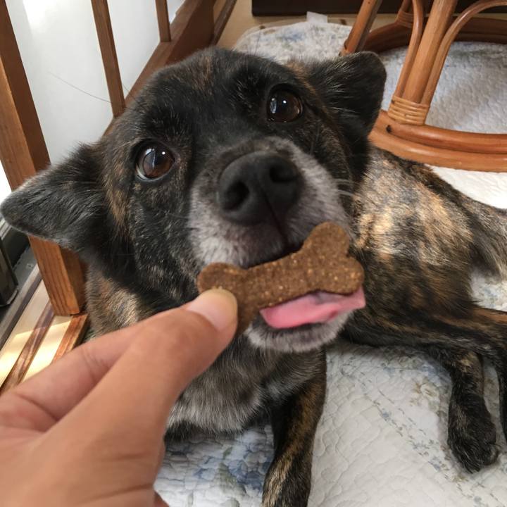 0d8f6c88 2ac5 4656 83be f489f1d9de0c 1511650758691