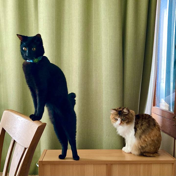 0d8f8bd2 0083 4f06 8a8e f3a0965bbdbb 1645775111118