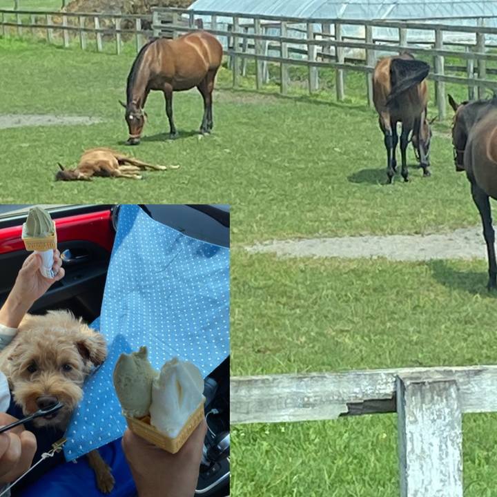 0d8f962e 1926 4eaa 9360 3a60d2f5fdbb 1627120840813