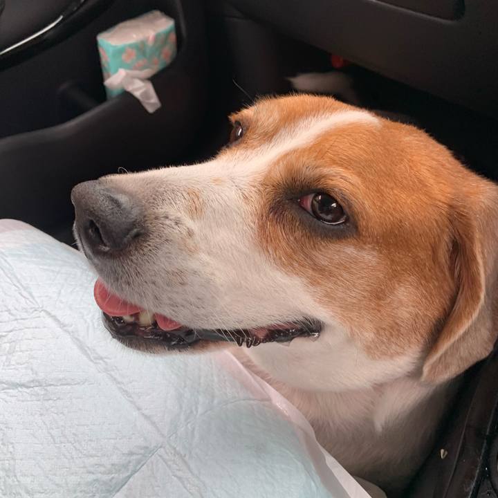 0d8f9972 17e7 443e 8cee 66e242a0e0d2 1747539573999