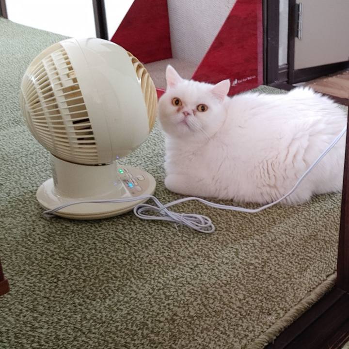 0d8fa66a 55aa 4832 b298 58d6f2823263 1684579435097