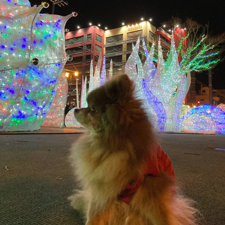 0d8faa9c bad5 4db5 bc3e 4e0432a8f522 1702193371601