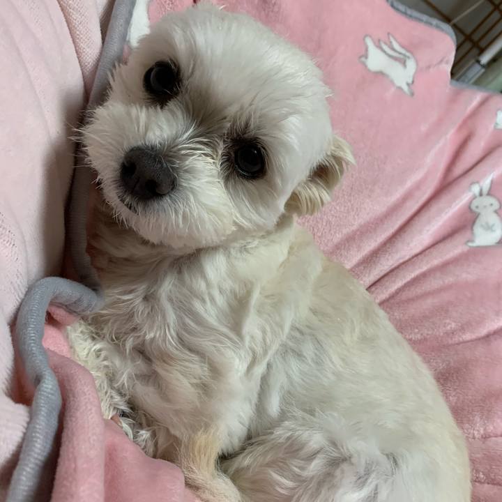 0d9011f5 4499 4b6d b141 17d465990ca4 1611140123591