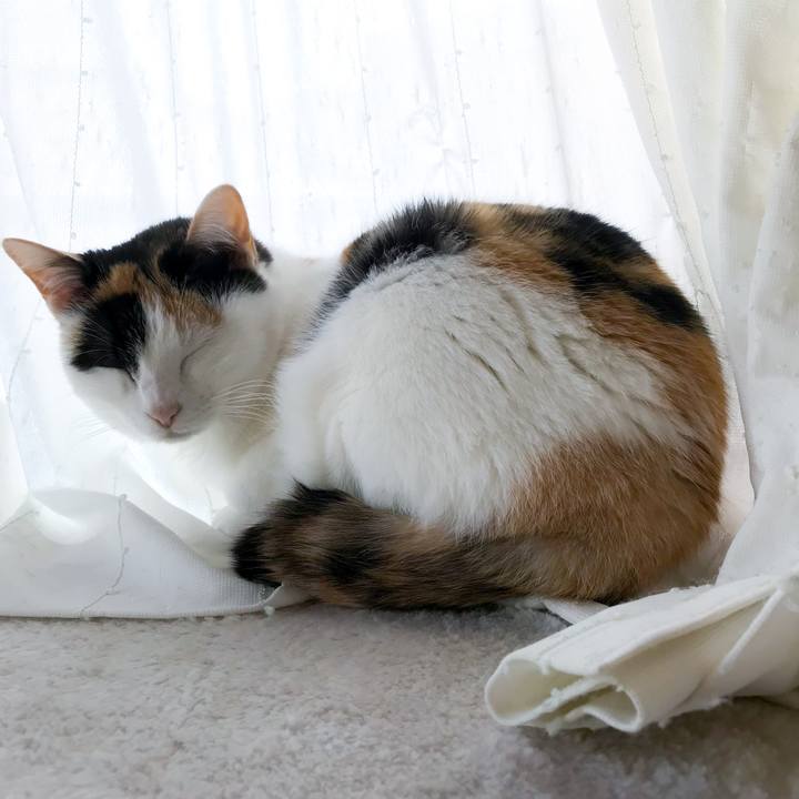 0d9013f9 c1af 4af3 aa4f 320a926f51de 1520694223402