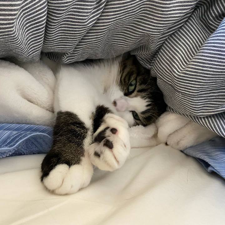 0d904794 4c01 4952 80f9 9ac0fc2df7b5 1644542363856