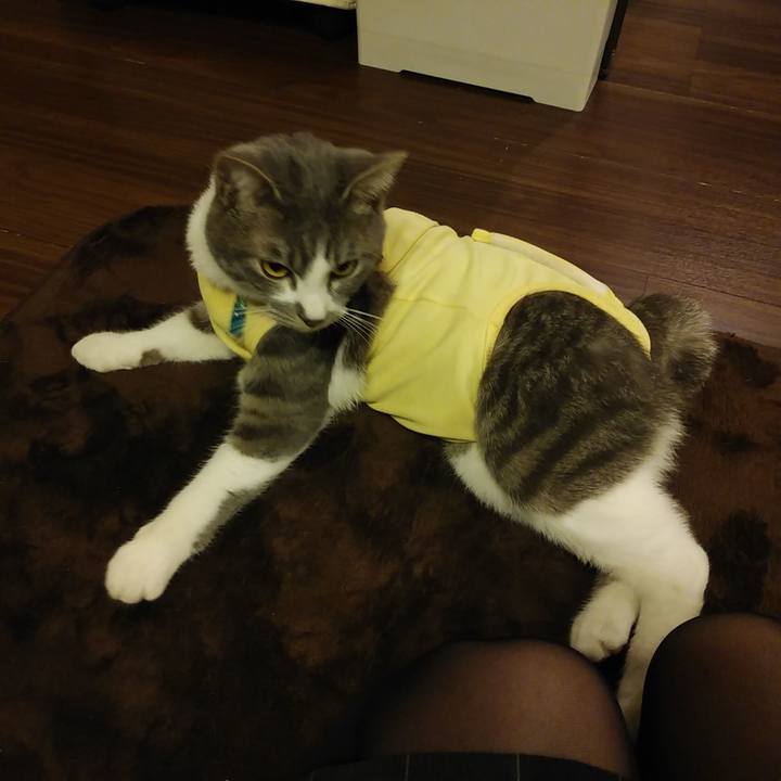 0d90b2bf 053c 4f9b 945a 244d87d6e0d6 1584709458409