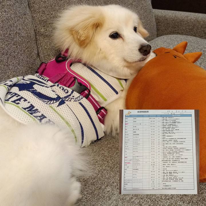 0d90bfd7 9cdc 4d1c ae19 8b4453c1fe1f 1722940072289