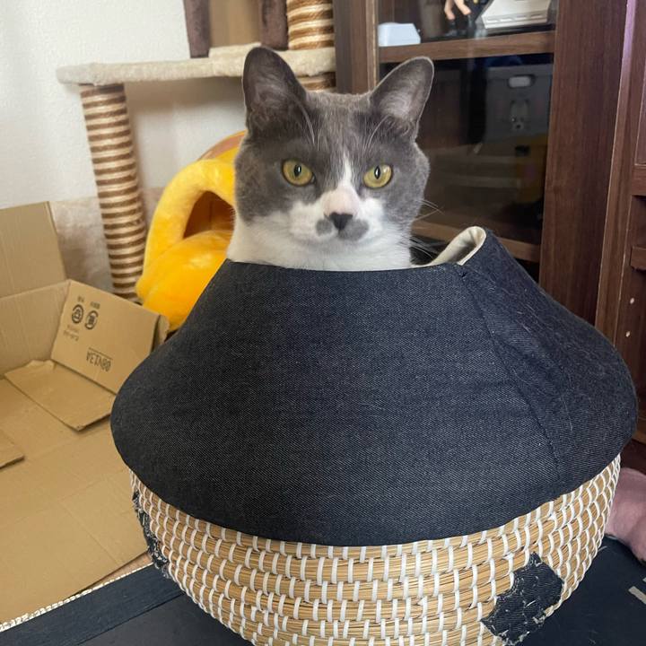 0d912570 5f33 4743 b28f 712c54f844f2 1715992177471