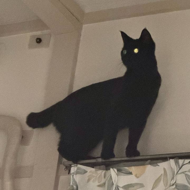 0d9182d3 147e 4027 92c7 2fe610f780ba 1736294854781