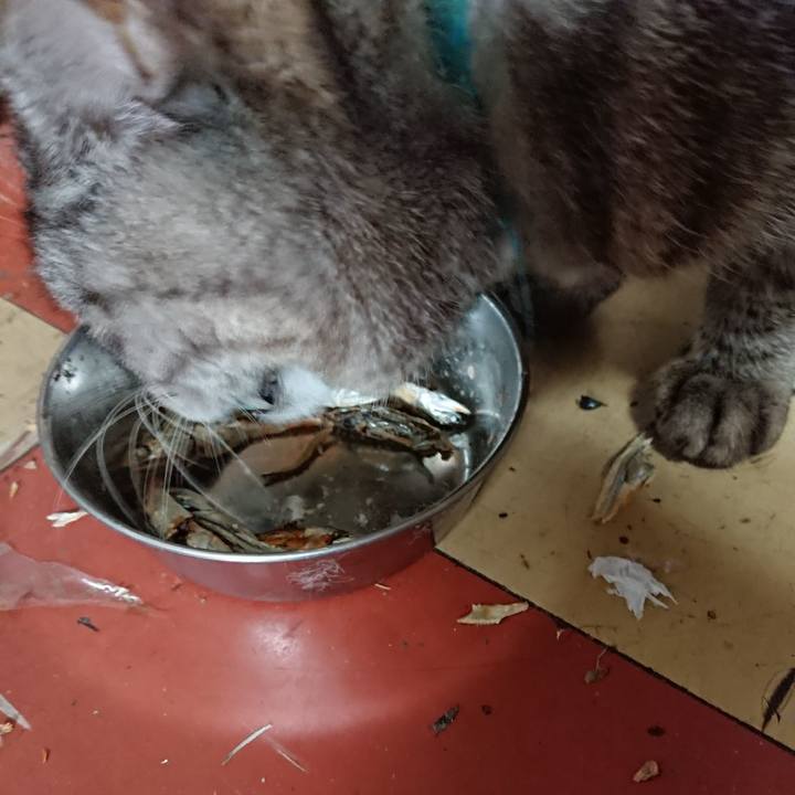 0d91bc1a 08ad 4b07 aa59 c4277e1251c3 1555209049718