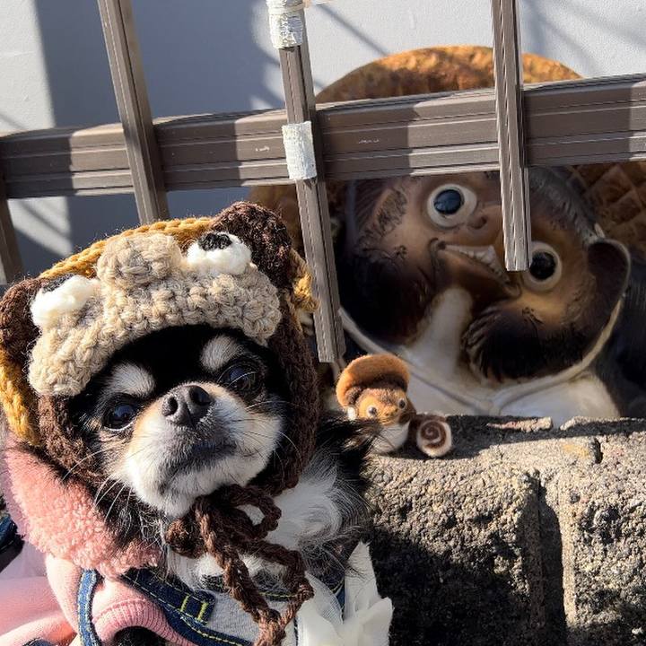 0d91d6f9 6e52 476d afe3 a7ab158b1e17 1676086240261