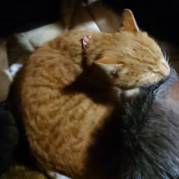 0d91e37b a717 41a4 a13b a08c4a1b57fb 1606388930019