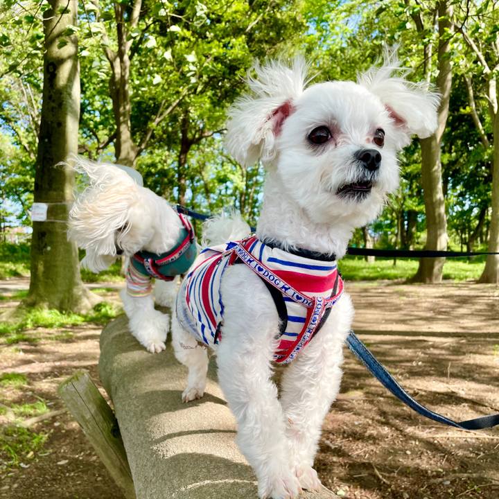 0d91e592 0759 44da b557 8a935700288a 1618755109420