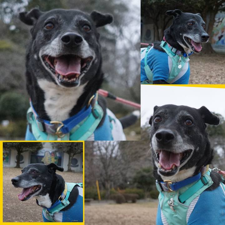 0d925067 8c7e 496d 8cab 5ca4c80e0d64 1770424951418