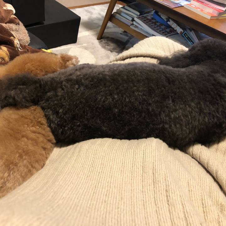 0d925e54 e89a 447b b079 2d14cc007afd 1580291862244