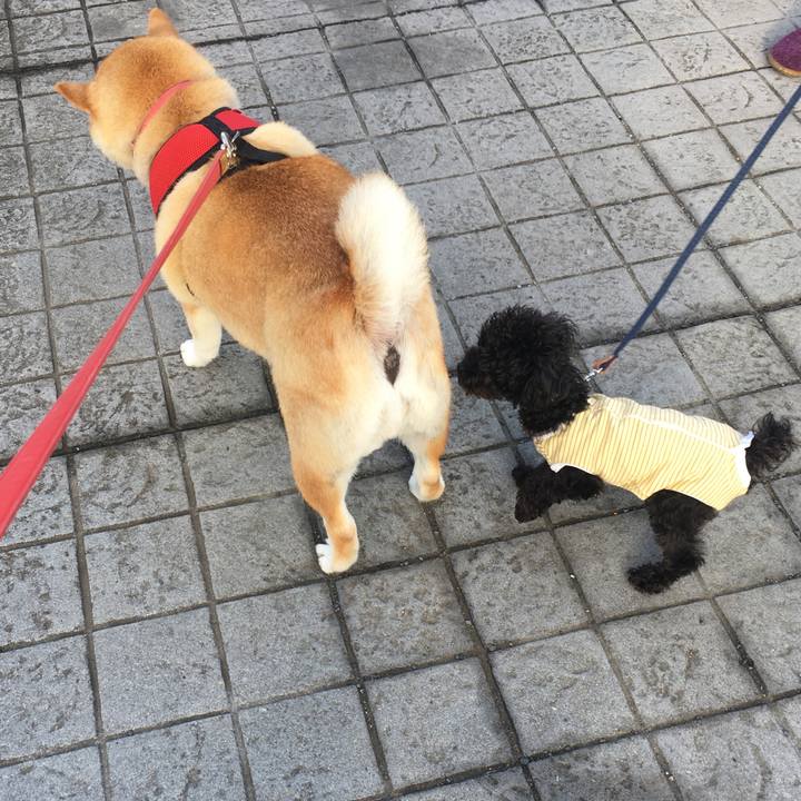 0d929d45 8e82 4ff3 ad5e 423d5739005b 1620941565514