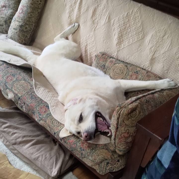 0d92b458 4c91 4bbd 83b6 a3df37307128 1692027845557