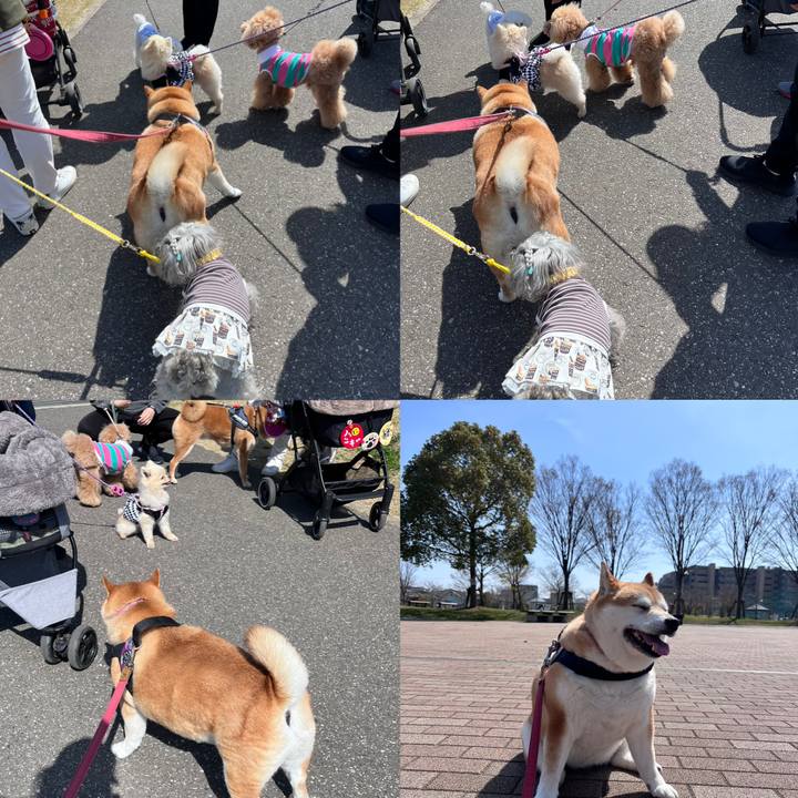 0d92ee35 6635 459a 9ca9 8bf5c47a0730 1678934734799