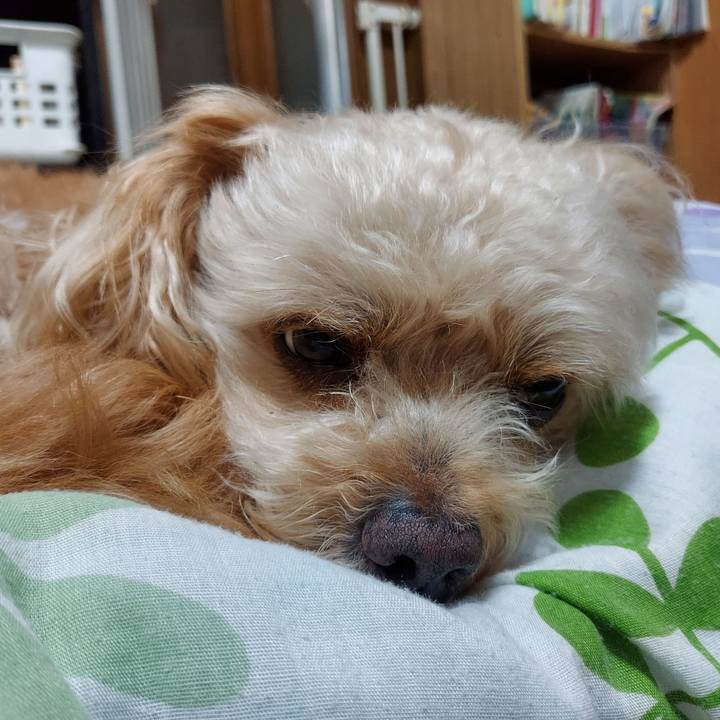 0d92f363 7759 4314 a8d7 618c8c199906 1659229094642