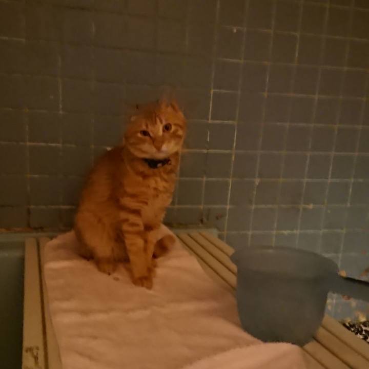 0d931c51 d7a5 480f 8edd a8f2bc169ce8 1644490463468