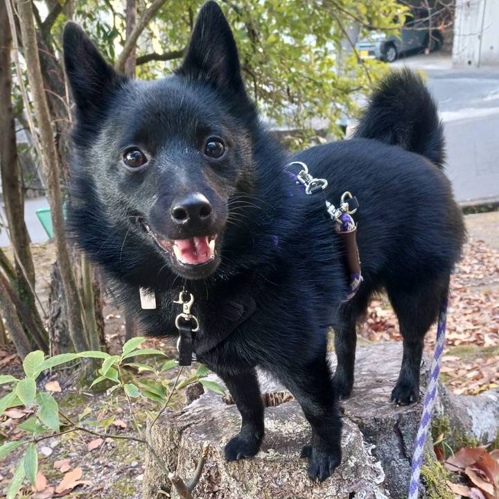 0d933db7 56d3 4545 a849 cbe144bcc18f 1771656351756