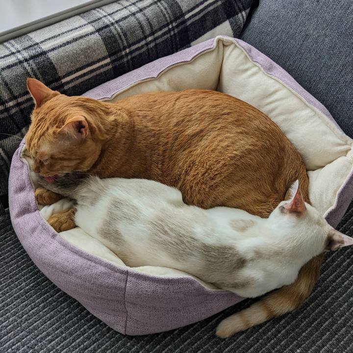 0d93726f 289a 48cb 90bc c5542139df3d 1694839584991