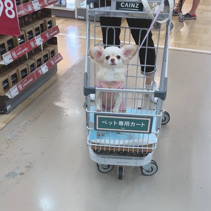 0d9372f4 de3a 499b 942a 7cc8736e07e3 1690102158423