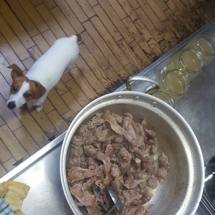 0d937638 f761 4604 8169 e3b5b1348648 1561963051924