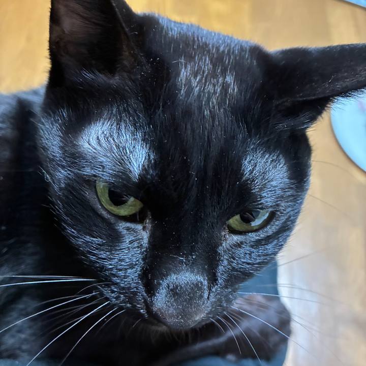 0d9387df a290 457f b6bf e9b1e590139e 1772716094268